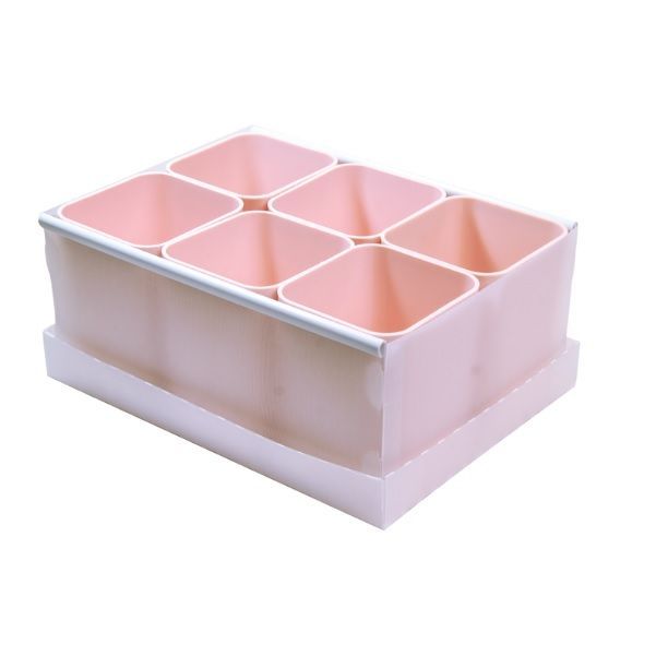 Caixa Plastica Organizadora Objetos 2193-W com 6 Rosa Claro