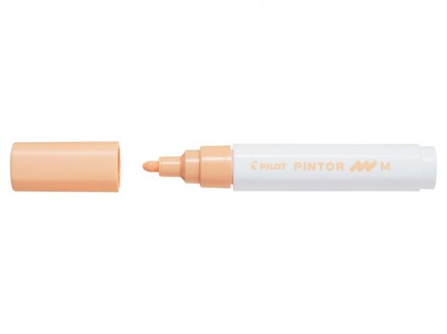 Caneta Pincel Marcador Pilot Pintor Laranja Pastel