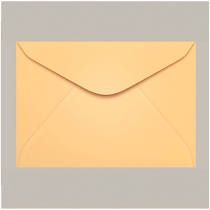 Envelope Carta Salmão Color Plus com 10 Unidades 114mm x 162mm