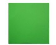 Folha de EVA 48x40cmx5mm Liso Verde Claro *Unidade*